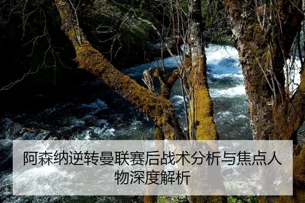 阿森纳逆转曼联赛后战术分析与焦点人物深度解析