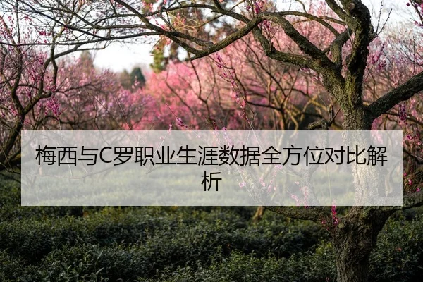 梅西与C罗职业生涯数据全方位对比解析
